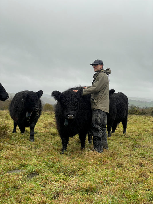 Alistair Hughes - Radical Rewilding in South Wales